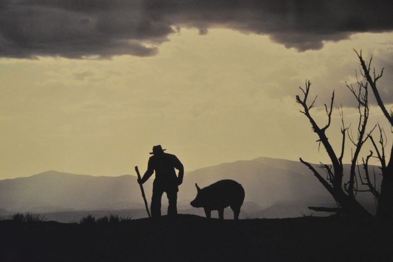 The Milagro Beanfield War