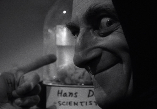 Young Frankenstein